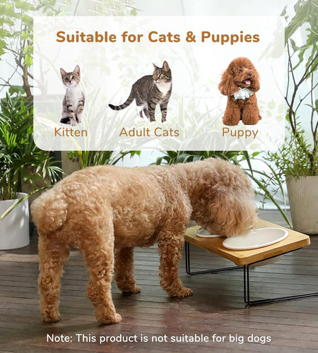 Elevated Cat Ceramic Bowls, Small Dog 15° Tilted Raised Food Feeding Dishes, Solid Bamboo Water Stand Feeder Set for Cats and Puppy